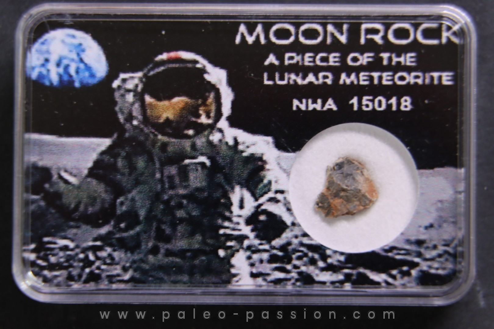 MOON ROCK: Lunar feldspath breccia - NWA 15018
