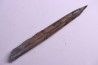 bélemnite:  Belemnopsis fusiformis - Bathonien - Normandie, France