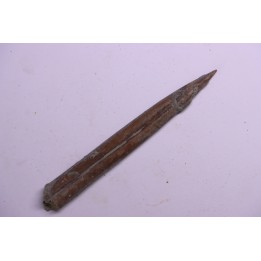 bélemnite:  Belemnopsis fusiformis - Bathonien - Normandie, France