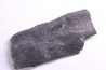 Côte de baleine avec traces de prédations  de megalodon
