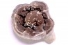 septaria avec ammonite SOWERBYCERAS recouverte de quartz  oxfordien  Remusat - Drome, FRANCE