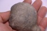 septaria avec ammonite SOWERBYCERAS recouverte de quartz oxfordien Remusat - Drome, FRANCE