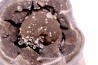 septaria avec ammonite SOWERBYCERAS recouverte de quartz oxfordien Remusat - Drome, FRANCE