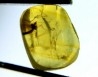 amber