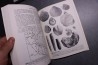 Ch. Pomerol - Stratigraphie et Paleogeographie - 3 volumes: PRECAMBRIEN, ERE PALEOZOIQUE - ERE MESOZOIQUE - ERE CENOZOIQUE
