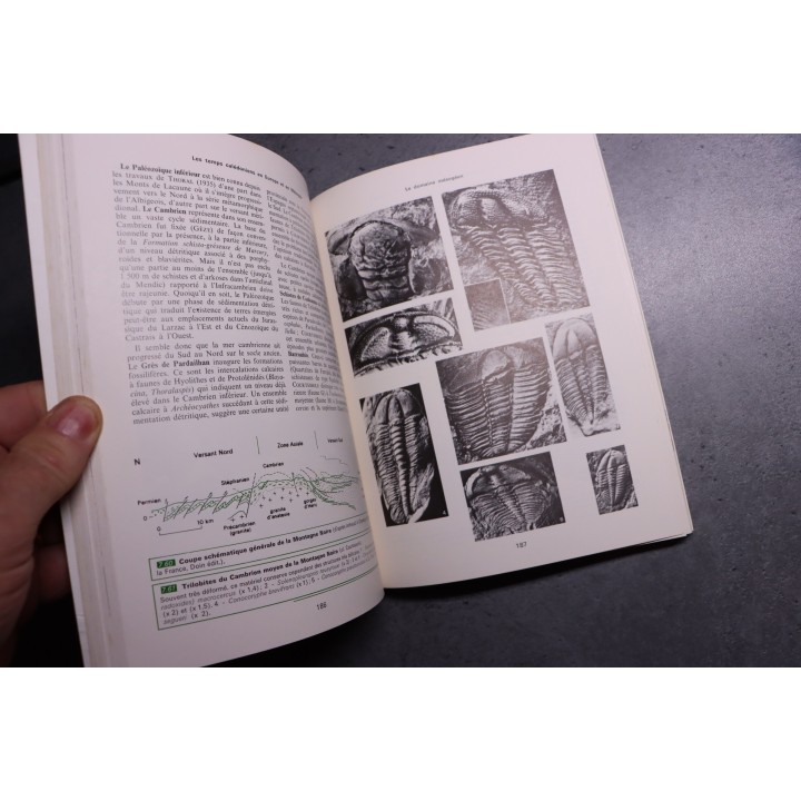 Ch. Pomerol - Stratigraphie et Paleogeographie - 3 volumes: PRECAMBRIEN, ERE PALEOZOIQUE - ERE MESOZOIQUE - ERE CENOZOIQUE