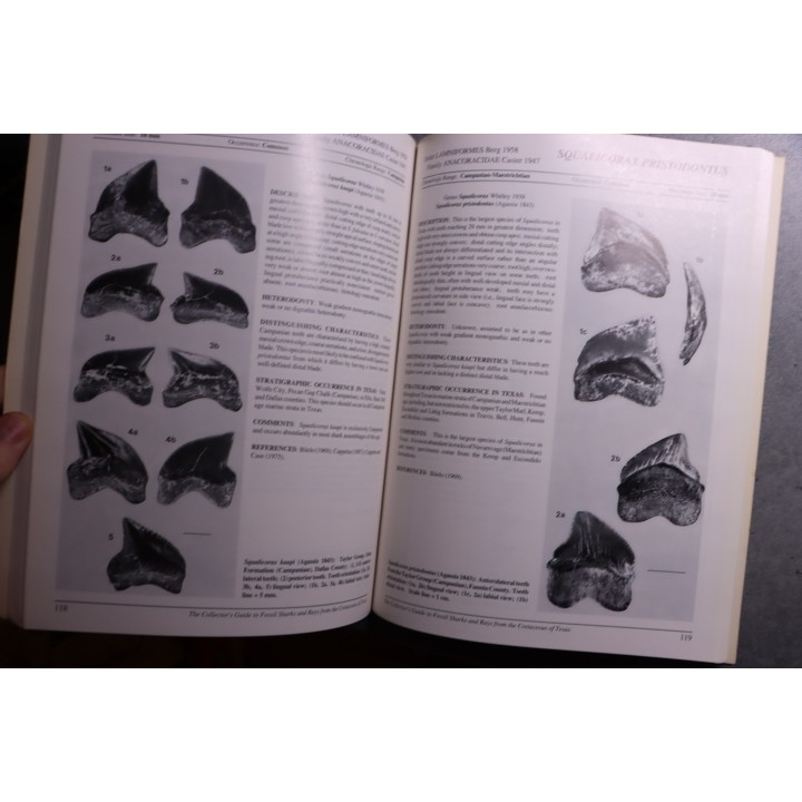Bruce J. & alii - The collector's guide Fossil Sharks and Rays from the Cretaceous of Texas