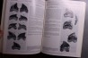 Bruce J. & alii - The collector's guide Fossil Sharks and Rays from the Cretaceous of Texas