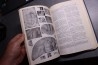Shimer and Shrock: INDEX FOSSILS OF NORTH AMERICA
