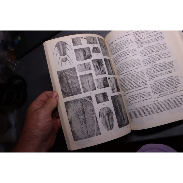 Shimer and Shrock: INDEX FOSSILS OF NORTH AMERICA