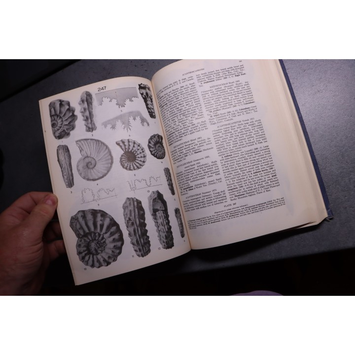 Shimer and Shrock: INDEX FOSSILS OF NORTH AMERICA