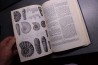 Shimer and Shrock: INDEX FOSSILS OF NORTH AMERICA