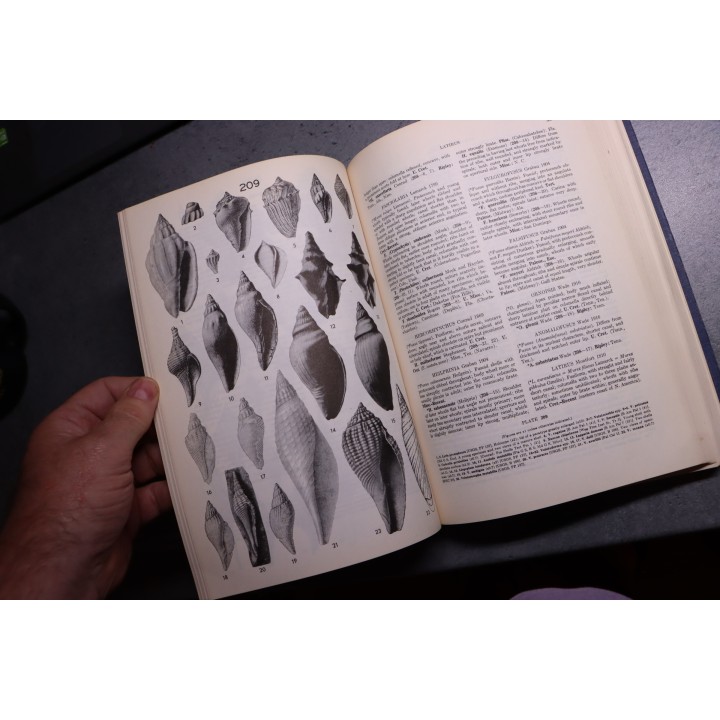 Shimer and Shrock: INDEX FOSSILS OF NORTH AMERICA