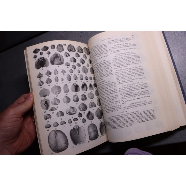 Shimer and Shrock: INDEX FOSSILS OF NORTH AMERICA