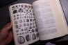 Shimer and Shrock: INDEX FOSSILS OF NORTH AMERICA