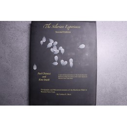 Chinnici & alii: THE SILURIAN EXPERIENCE - 2015