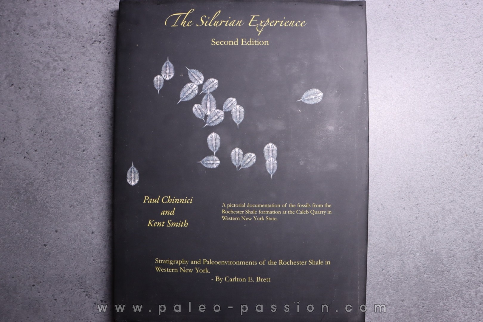 Chinnici & alii: THE SILURIAN EXPERIENCE - 2015