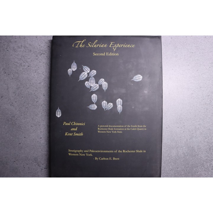 Chinnici & alii: THE SILURIAN EXPERIENCE - 2015