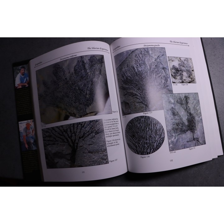 Chinnici & alii: THE SILURIAN EXPERIENCE - 2015
