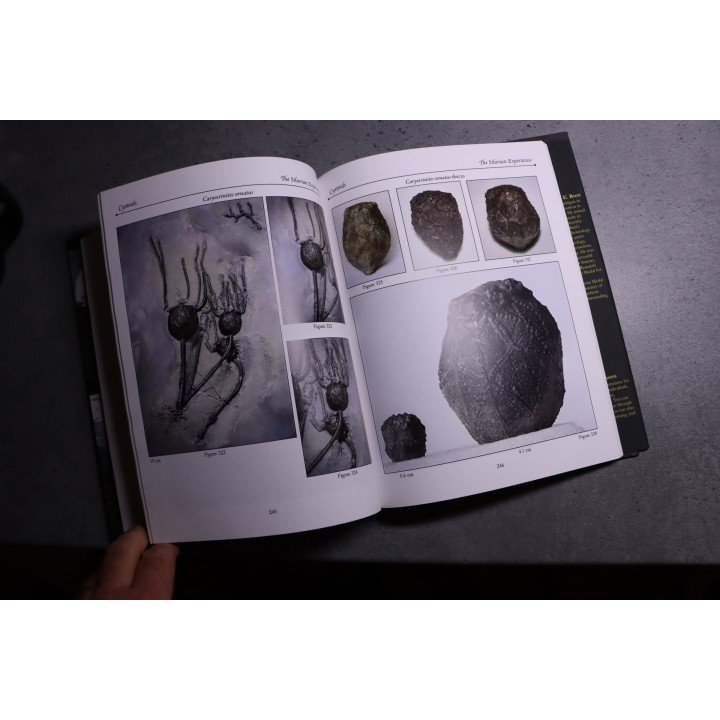 Chinnici & alii: THE SILURIAN EXPERIENCE - 2015