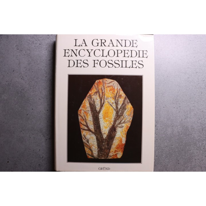 La grande encyclopedie des fossiles - edition GRUND