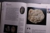 La grande encyclopedie des fossiles - edition GRUND