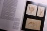 La grande encyclopedie des fossiles - edition GRUND