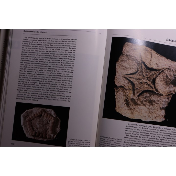 La grande encyclopedie des fossiles - edition GRUND