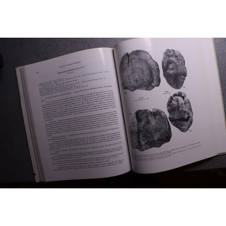 L. Ginsburg, 2000: La faune miocéne de Sansan et son environnement - mémoire du museum national d'histoire naturelle - TOME 183