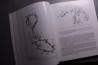 L. Ginsburg, 2000: La faune miocéne de Sansan et son environnement - mémoire du museum national d'histoire naturelle - TOME 183