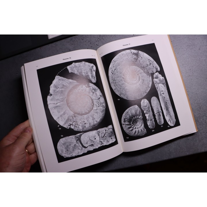 REVISION CRITIQUE de la PALEONTOLOGIE FRANCAISE d'Alcide d'Orbigny  VOL 1: CEPHALOPODES JURASSIQUES  -  J.C. Fischer, 1994