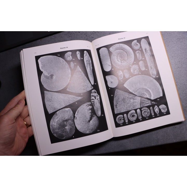 REVISION CRITIQUE de la PALEONTOLOGIE FRANCAISE d'Alcide d'Orbigny  VOL 1: CEPHALOPODES JURASSIQUES  -  J.C. Fischer, 1994