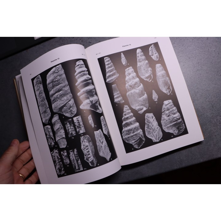 REVISION CRITIQUE de la PALEONTOLOGIE FRANCAISE d'Alcide d'Orbigny  VOL 2: GASTROPODES JURASSIQUES  -  J.C. Fischer, 1997
