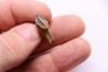 HADROSAUR tooth: edmontosaurus anneltens - Hell Creek Fmt - upper cretaceous - Montana, USA