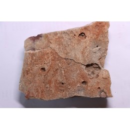 Namacalathus hermanestes & Albumarid Skinnera sp.  - Precambrian, Ediacara period, Nama formation - Dish River Canyon, Namibia