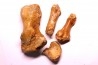 CAVERN BEAR BONES - Ursus spelaeus - Pléistocène from Europe.