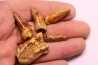 COLLECTION DE DENTS D' OURS DES CAVERNES - Ursus spelaeus - Pléistocène d'Europe