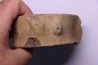 ichthyosaur vertebra : Brachypteruigus extremis - Kimmeridgian - Oxfordshire, UK