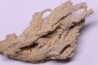 Petrified plants, TRAVERTIN:  Branches, Twigs, Mosses - Middle Jurassic - Parmilieu, FRANCE