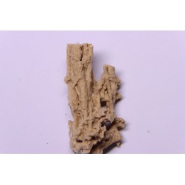 Végétaux petrifiés, TRAVERTIN:  Branches, Brindilles, Mousses - Jurassique moyen - Parmilieu, FRANCE