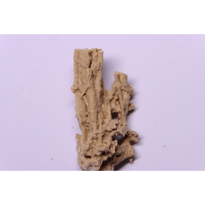Végétaux petrifiés, TRAVERTIN:  Branches, Brindilles, Mousses - Jurassique moyen - Parmilieu, FRANCE