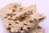 Végétaux petrifiés, TRAVERTIN: Branches, Brindilles, Mousses - Jurassique moyen - Parmilieu, FRANCE