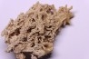 Petrified plants, TRAVERTIN:  Branches, Twigs, Mosses - Middle Jurassic - Parmilieu, FRANCE