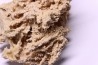 Petrified plants, TRAVERTIN:  Branches, Twigs, Mosses - Middle Jurassic - Parmilieu, FRANCE