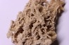 Végétaux petrifiés, TRAVERTIN: Branches, Brindilles, Mousses - Jurassique moyen - Parmilieu, FRANCE