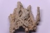 Végétaux petrifiés, TRAVERTIN: Branches, Brindilles, Mousses - Jurassique moyen - Parmilieu, FRANCE