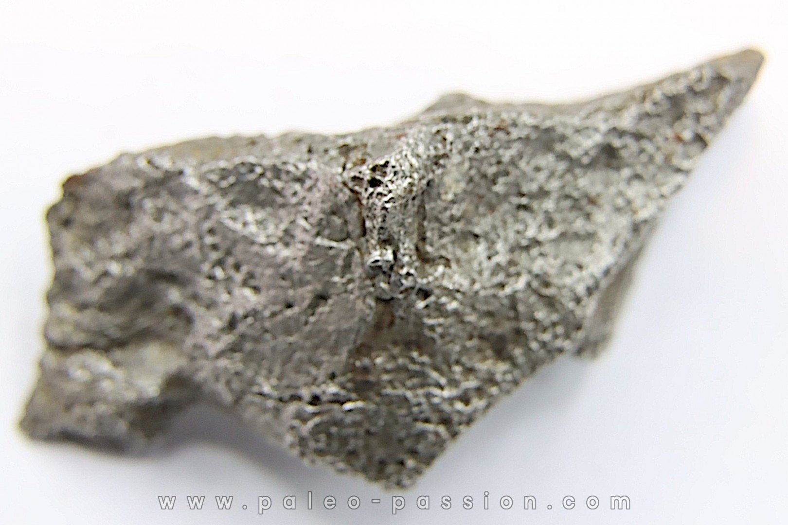 Météorite AGOUDAL IMILCHIL - Morocco