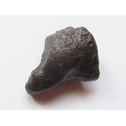 METEORITE SIDERITE SIKHOTE ALIN (16)