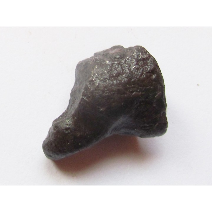 METEORITE SIDERITE SIKHOTE ALIN (16)