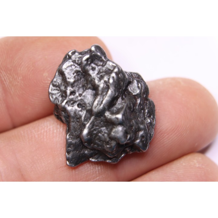 METEORITE  Campo del Cielo